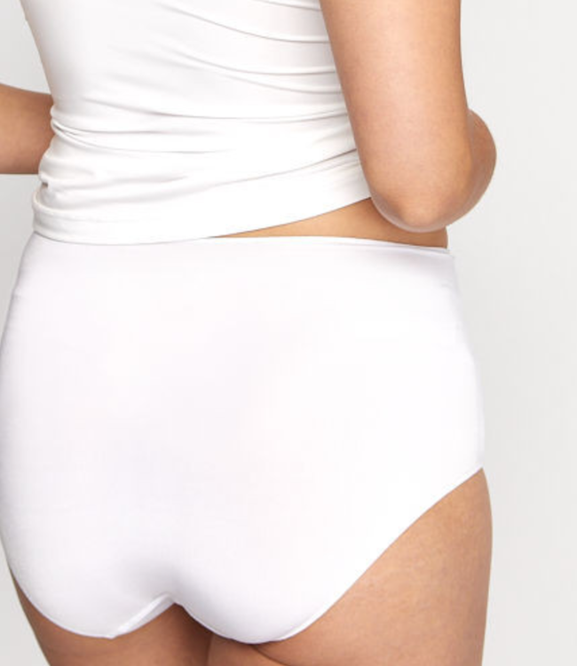 NO PANTY LINE PROMISE TACTEL FULL BRIEF