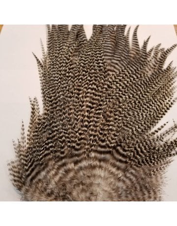 Ewing Ewing Whole Grizzly Saddle