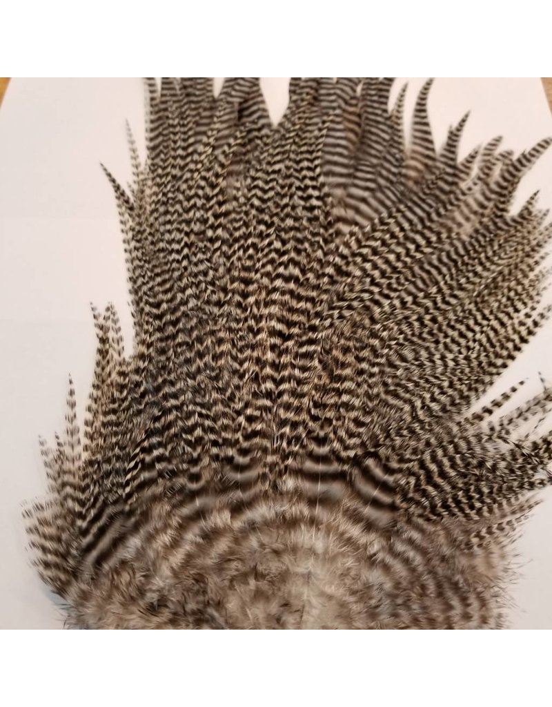 Ewing Ewing Whole Grizzly Saddle