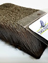 Fish Hunter Select Cow Elk 4" X 3"