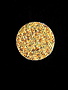 FishOn Pacchiarini's Water Pushing Disks