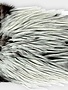 Whiting Farms Whiting American Rooser Saddle
