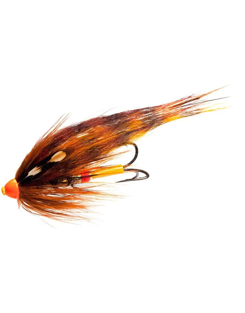 Pro Sportfisher Pro Conehead