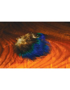 Hareline Dubbin Blue Peacock Feathers