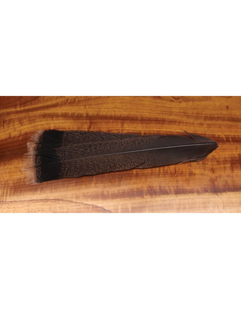 Hareline Dubbin Cinnamon Tip Turkey Tail Feathers