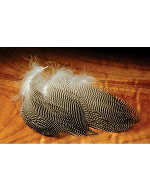 Hareline Dubbin Gadwall Feathers