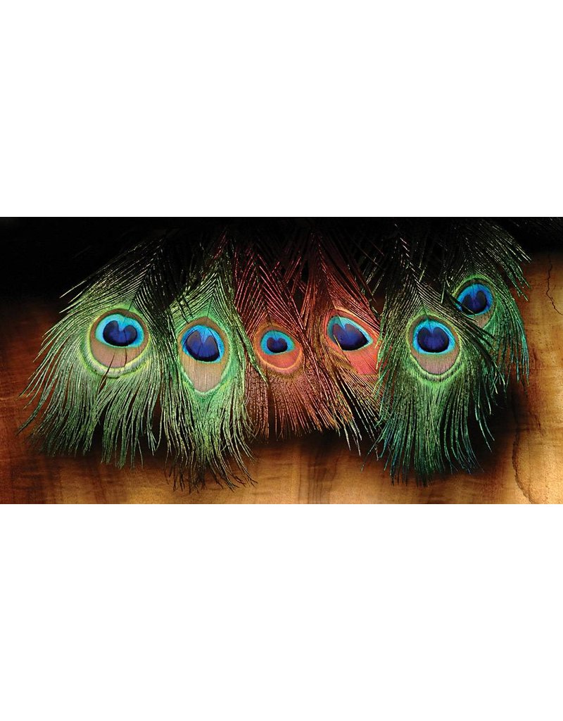 Hareline Dubbin Peacock Eyed Sticks