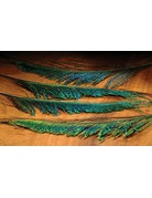 Hareline Dubbin Peacock Sword