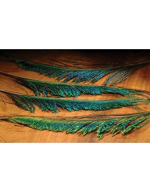 Hareline Dubbin Peacock Sword