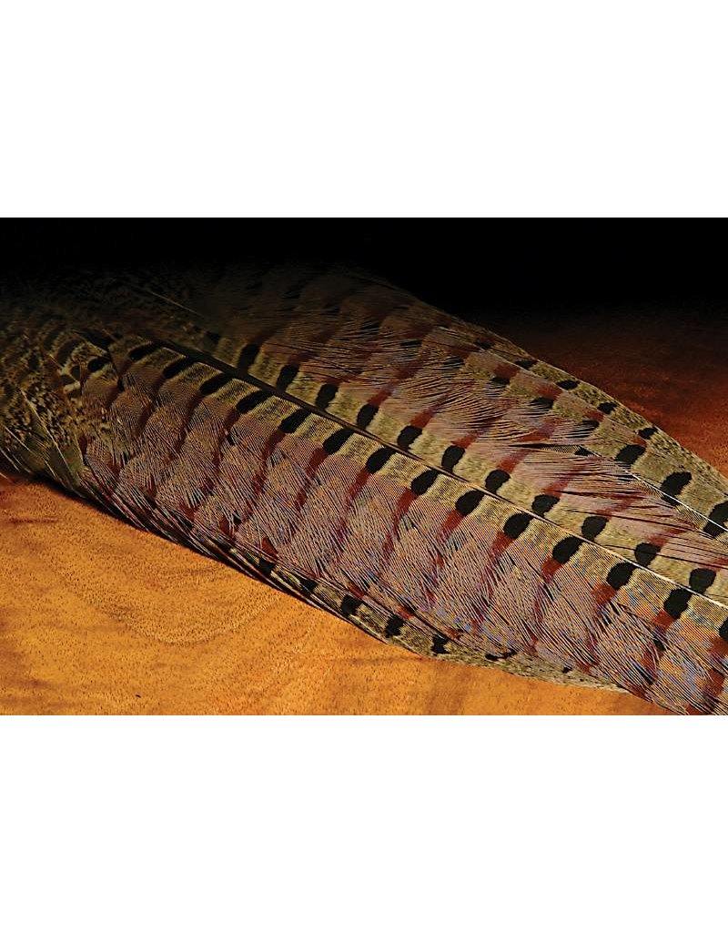 Wapsi Ringneck Pheasant Complete Tail