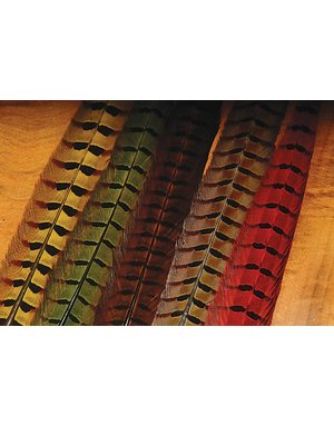 Wapsi Ringneck Pheasant Tail Feathers