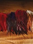 Hareline Dubbin Woolly Bugger Saddle Hackle 6-7"