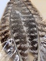 Wapsi Turkey Wing Quill Mottled Oak #1