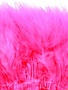 Fish Hunter Spey Blood Quill Marabou