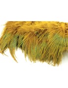 Fish Hunter Strung Ringneck Rump Hackle