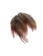 Golden Pheasant Red Body Feathers .10oz