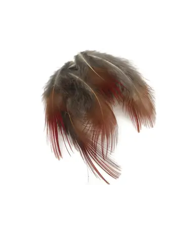 Golden Pheasant Red Body Feathers .10oz