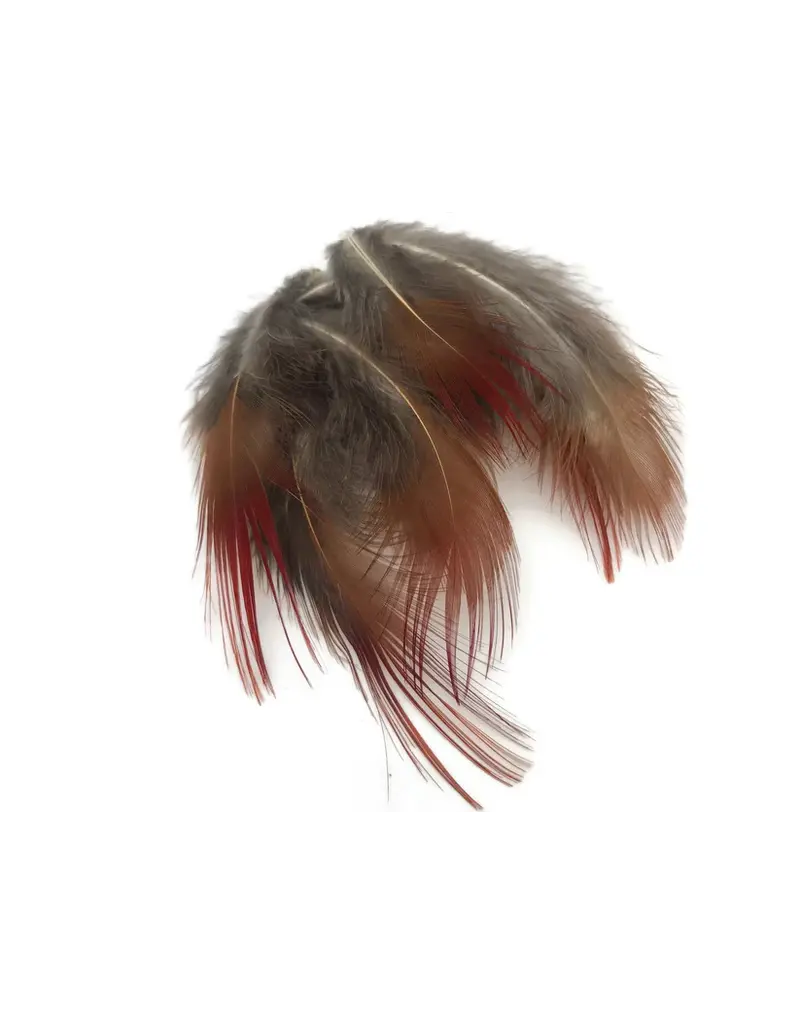Golden Pheasant Red Body Feathers .10oz