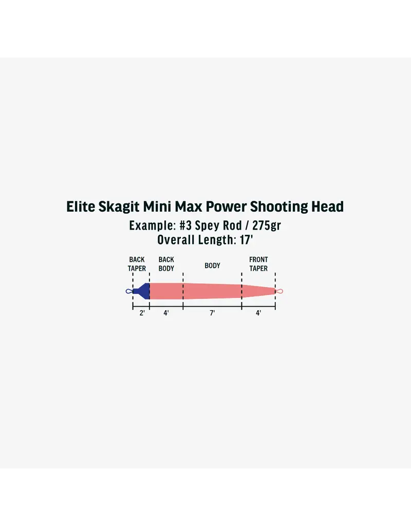 Rio Rio Skagit Mini Max Power