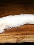 Wapsi Whole Arctic Fox Tail - White