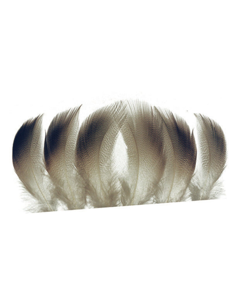 Wapsi Wapsi Bronze Mallard Large Spey Select