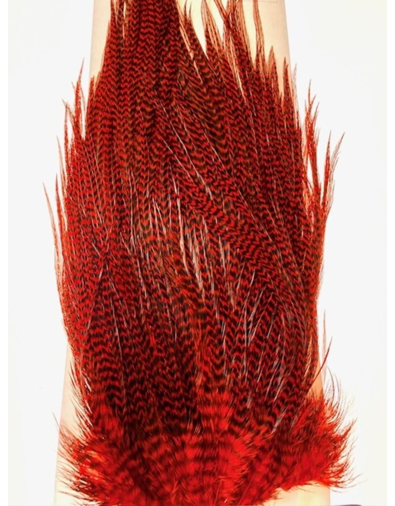 Ewing Ewing Whole Grizzly Saddle