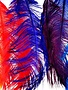 In House Ostrich Herl - Custom Colors