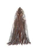 Wapsi Pine Squirrel Skin - Zonked Natural