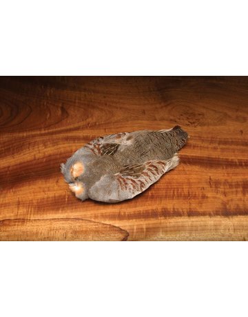 Wapsi Hun. Partridge Skin