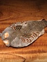 Wapsi Hun. Partridge Skin