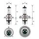 Narva 12V H4 100/55W P43T Halogen Headlight Globe (Box of 1)