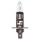 Hella Halogen Globe H1 Filament Bulb - 24V 70W