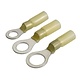 Narva Adhesive Lined Ring Terminal (50 per Pack)