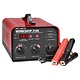 Projecta 6/12/24V Automatic & Manual 21 Amp 2 Stage Battery Charger
