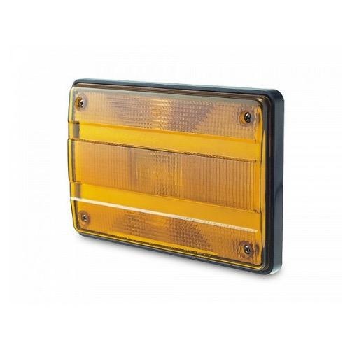 Hella Designline Rear Direction Indicator Lamp