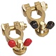 Projecta (8mm) 5/16" Brass Battery Terminal - Wingnut