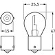 Hella Dome Lamp Globe, 12V, 25W