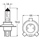 Hella H4 Premium Xenon Halogen Globe - Plus 90, Single Pack