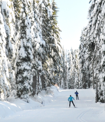 Cypress Mountain