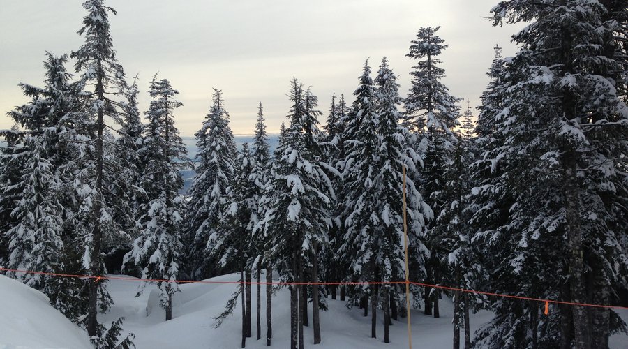 Snow hits Vancouver