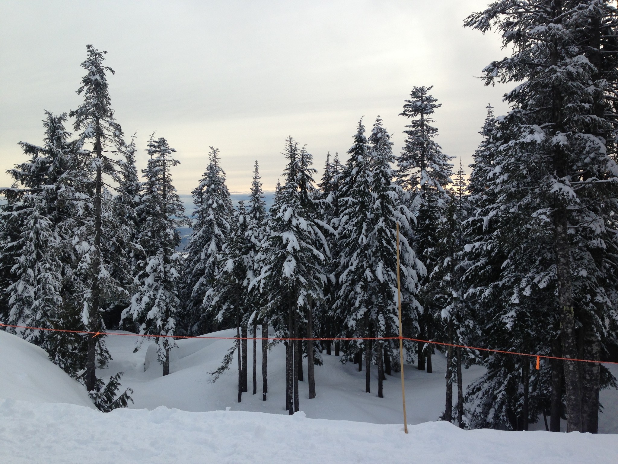 Snow hits Vancouver