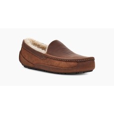 Uggs Men's Ascot Slipper