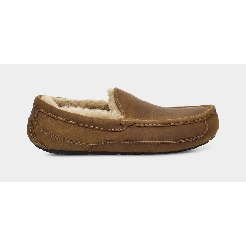 Uggs Men's Ascot Slipper