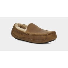 Uggs Men's Ascot Slipper