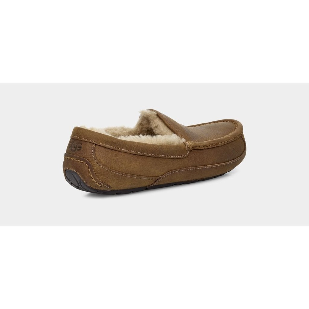 Uggs Men's Ascot Slipper