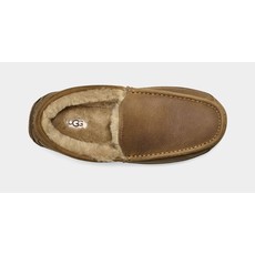 Uggs Men's Ascot Slipper