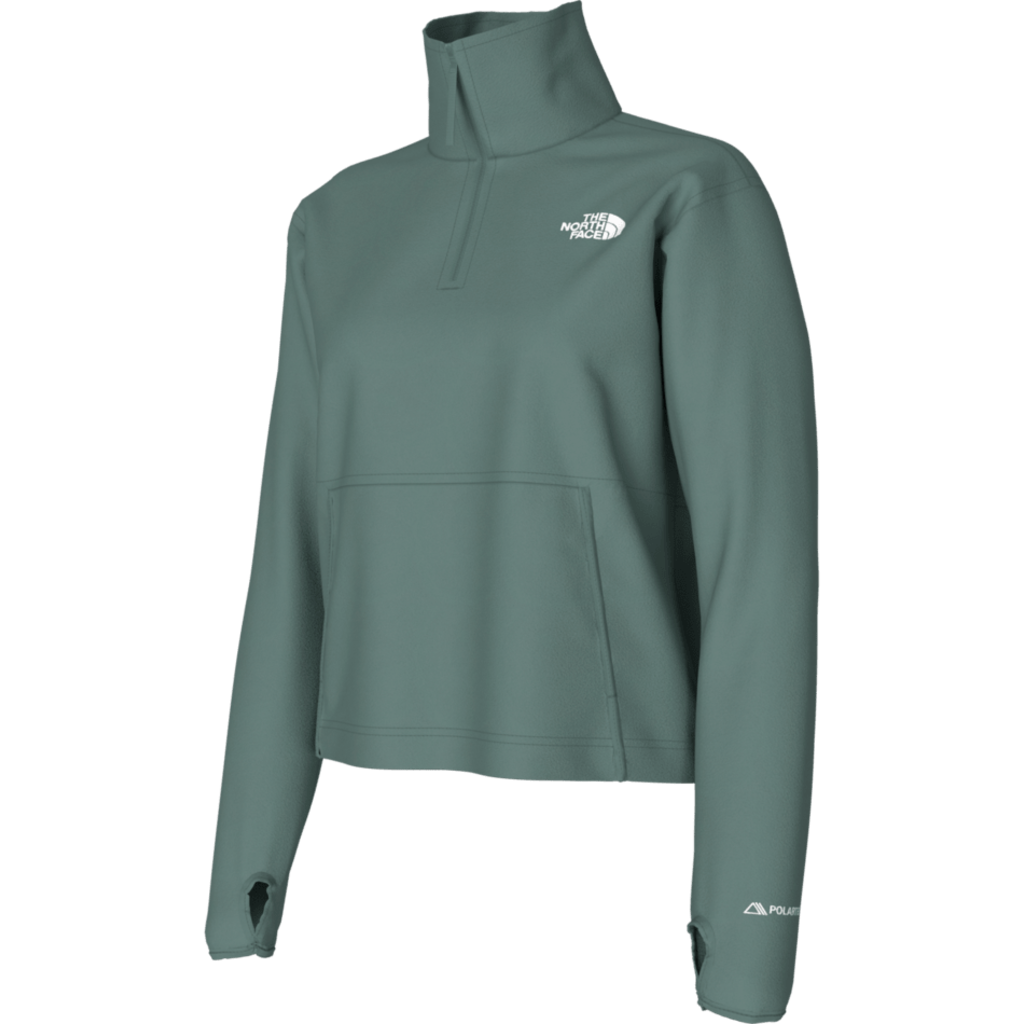 The North Face Women's Alpine Polartec 100 1/4 Zip