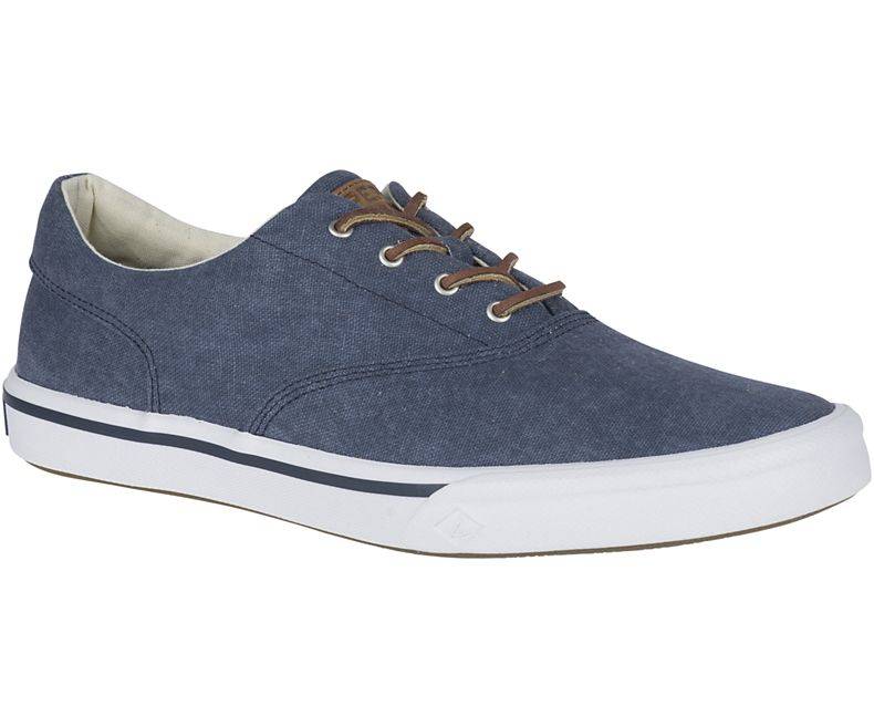 striper ii cvo canvas sneaker