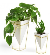 Housewares Umbra Trigg Vase Set