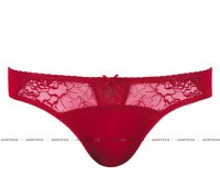 Gorteks Gorteks Pamela Brief